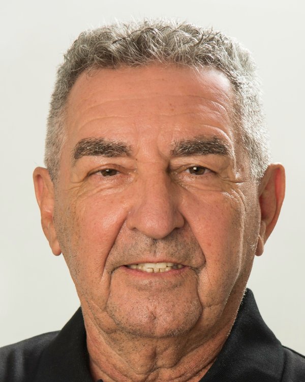 Willi Heinemann